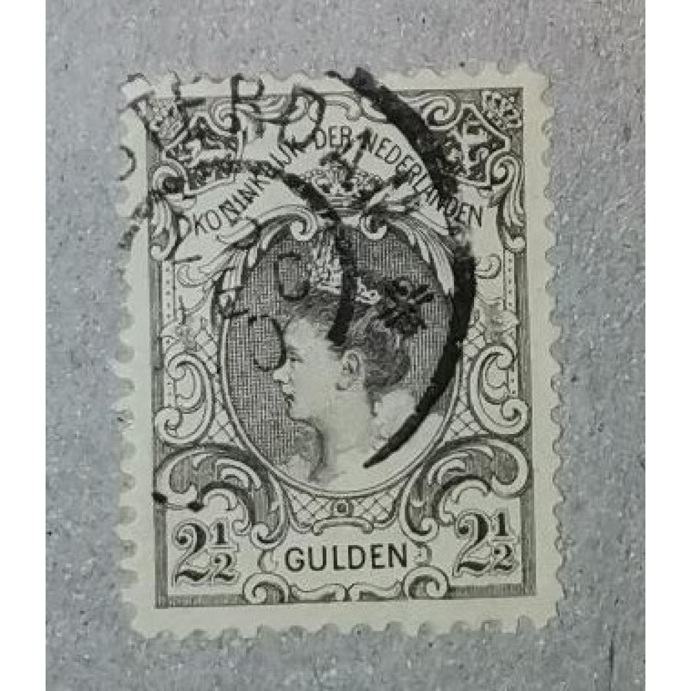 Sello Netherland, 2 1/2 G, Mi.64C, Usado/#