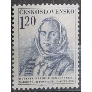 10. výročí Slovenského národního povstání - partyzánka
