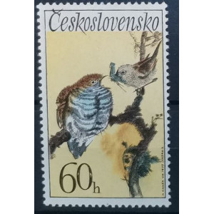 Ptáci 1972