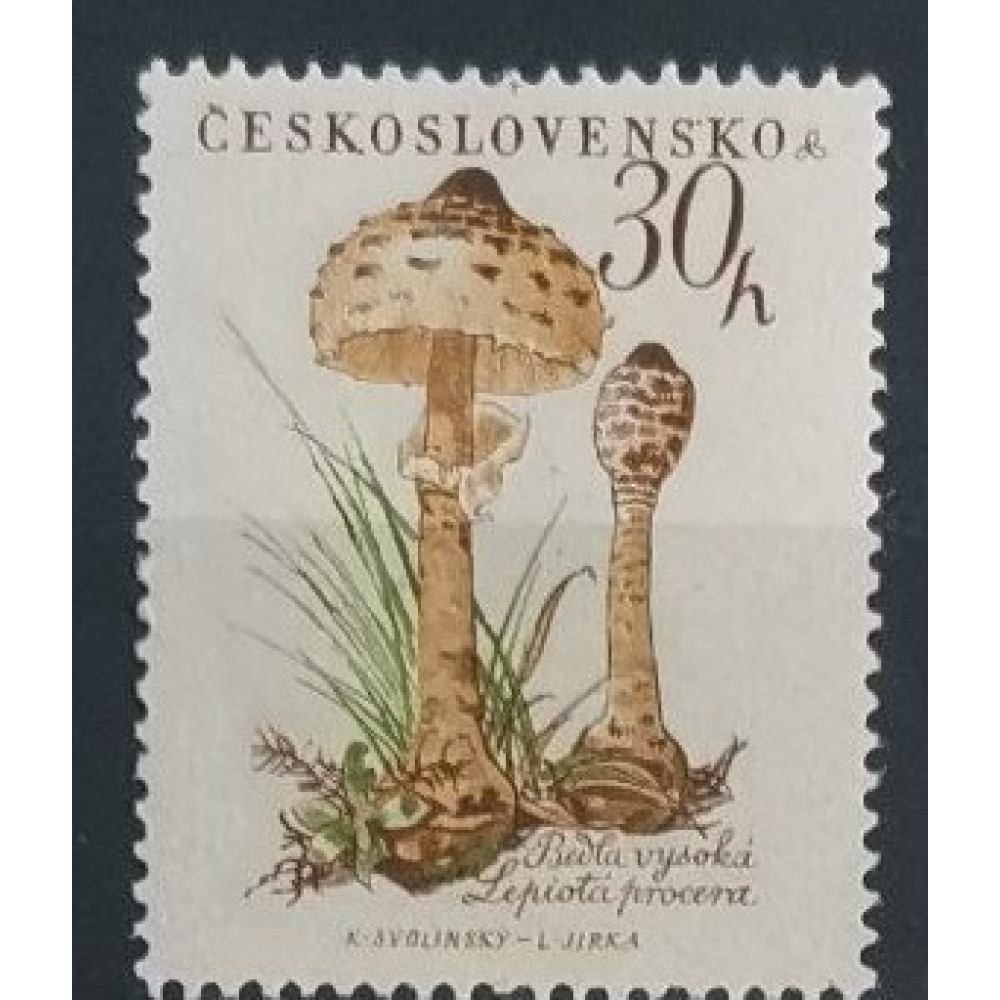 Selo Tchecoslováquia, 30h, Mi.1101, MH* 