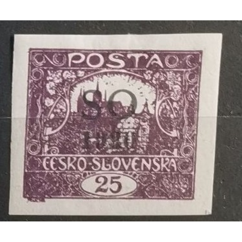 Selo Tchecoslováquia, 25h, Mi.10, MH* 