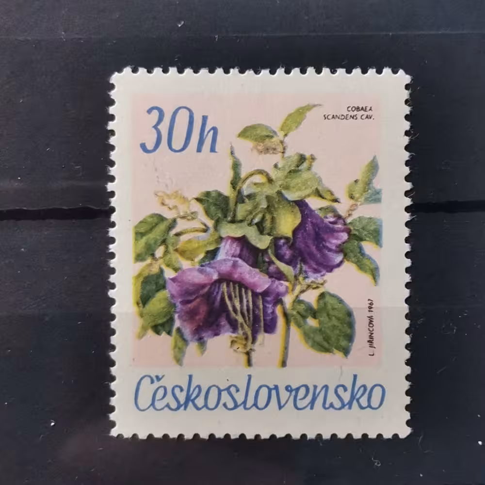 Selo Tchecoslováquia, 30h, Mi.1725, MNH** 