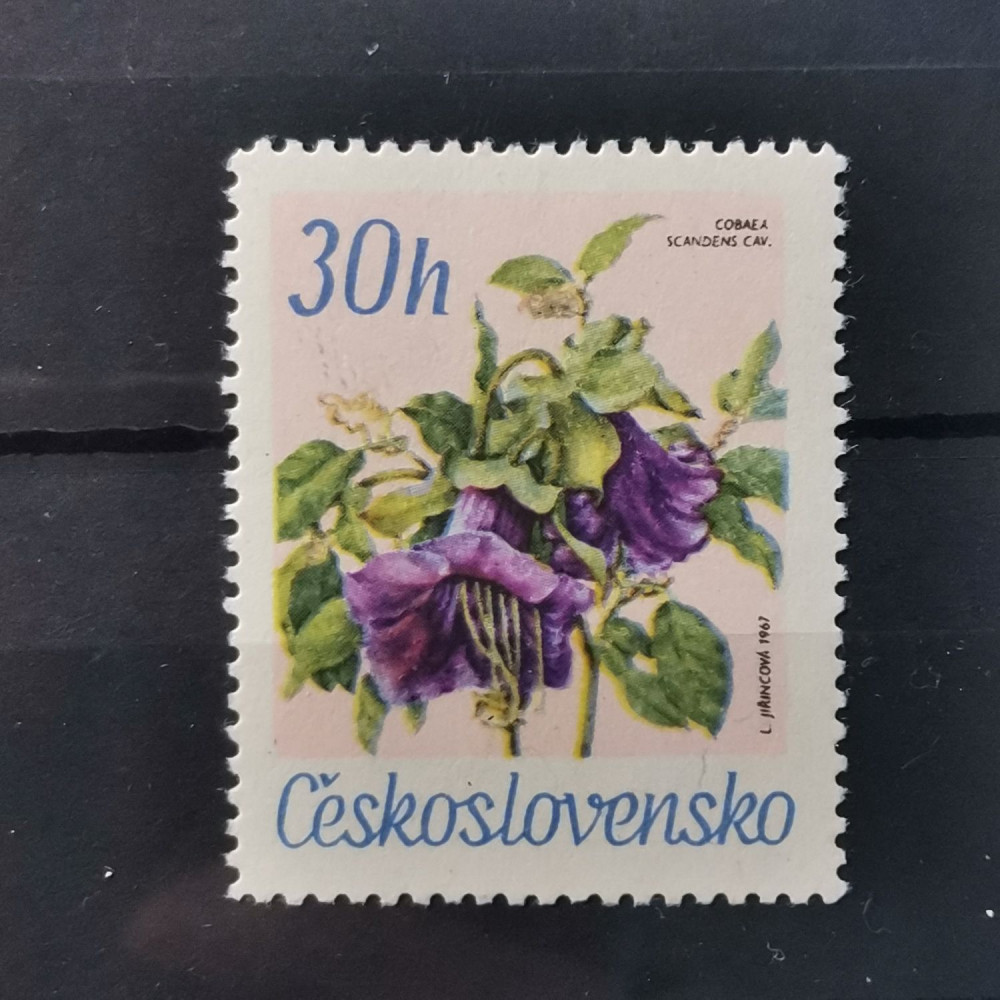 Selo Tchecoslováquia, 30h, Mi.1725, MNH** 