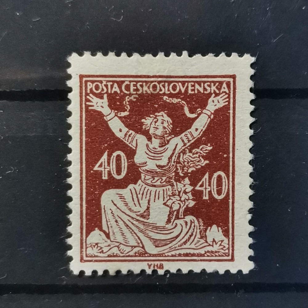 Selo Tchecoslováquia, 40h, Mi.173, MNH** 