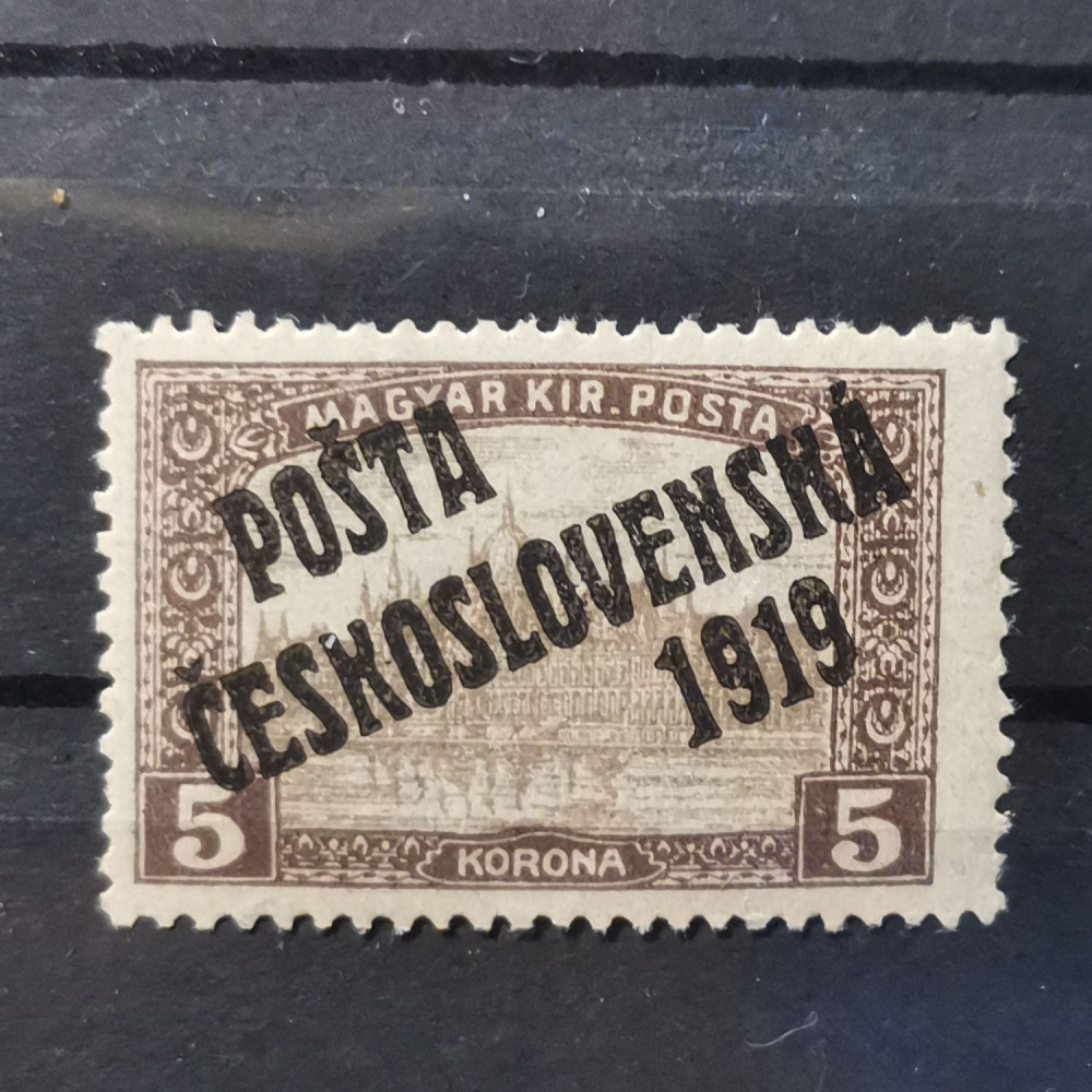 Selo Tchecoslováquia PČ 1919 , 5K, Mi.136, MH* 