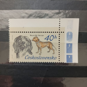 1973 - Lovečtí psi