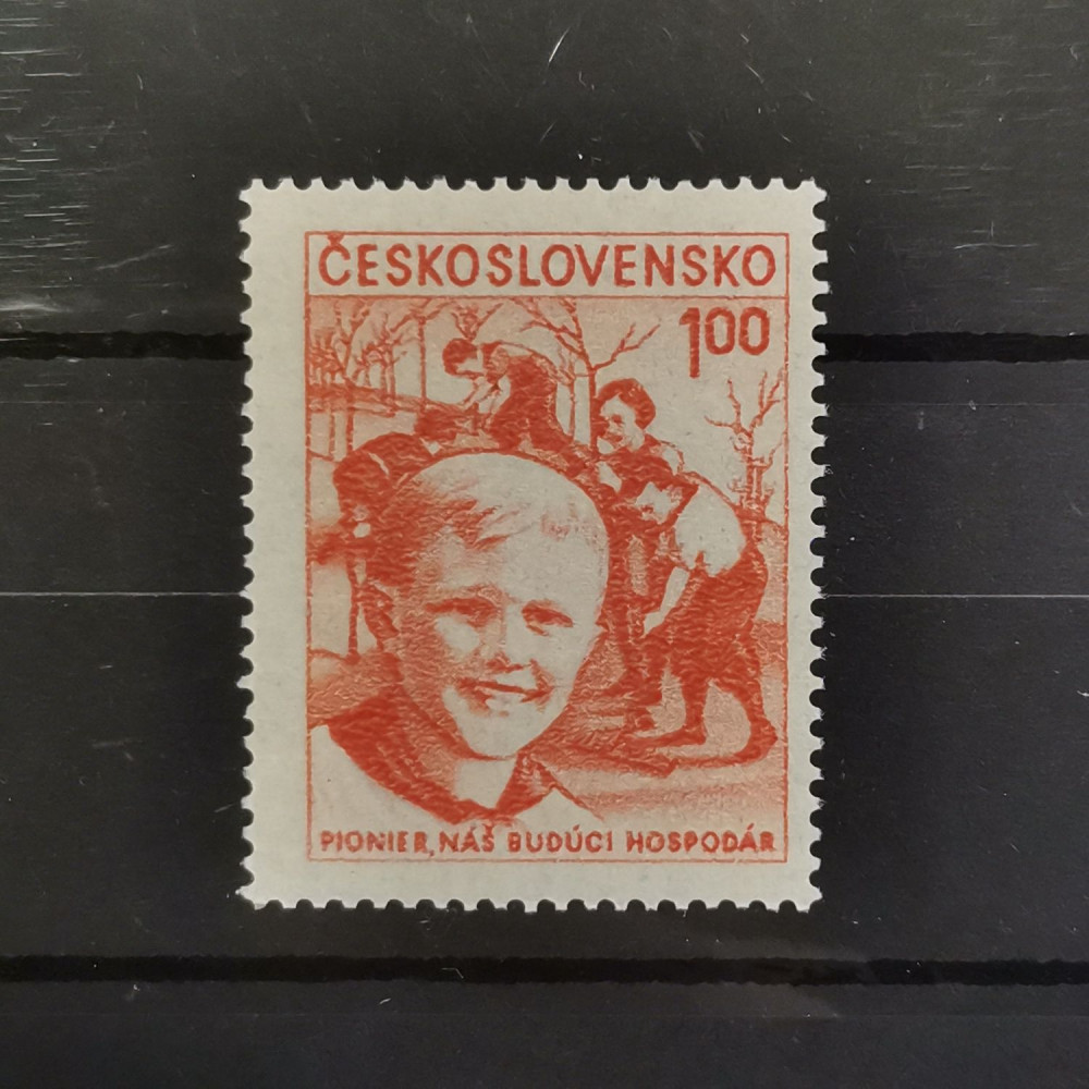 Not-issued stamp Pionyr , MNH** 