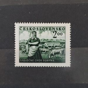 Socialistické zemědělství - společný chov dobytka