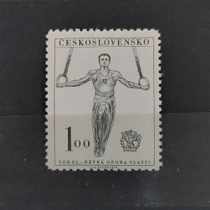 Sokol, IX. slet