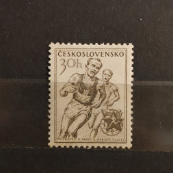 Briefmarke Tschechoslowakie, 30 h, Mi.856* 