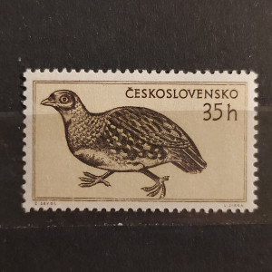 Zvířena - koroptev polní