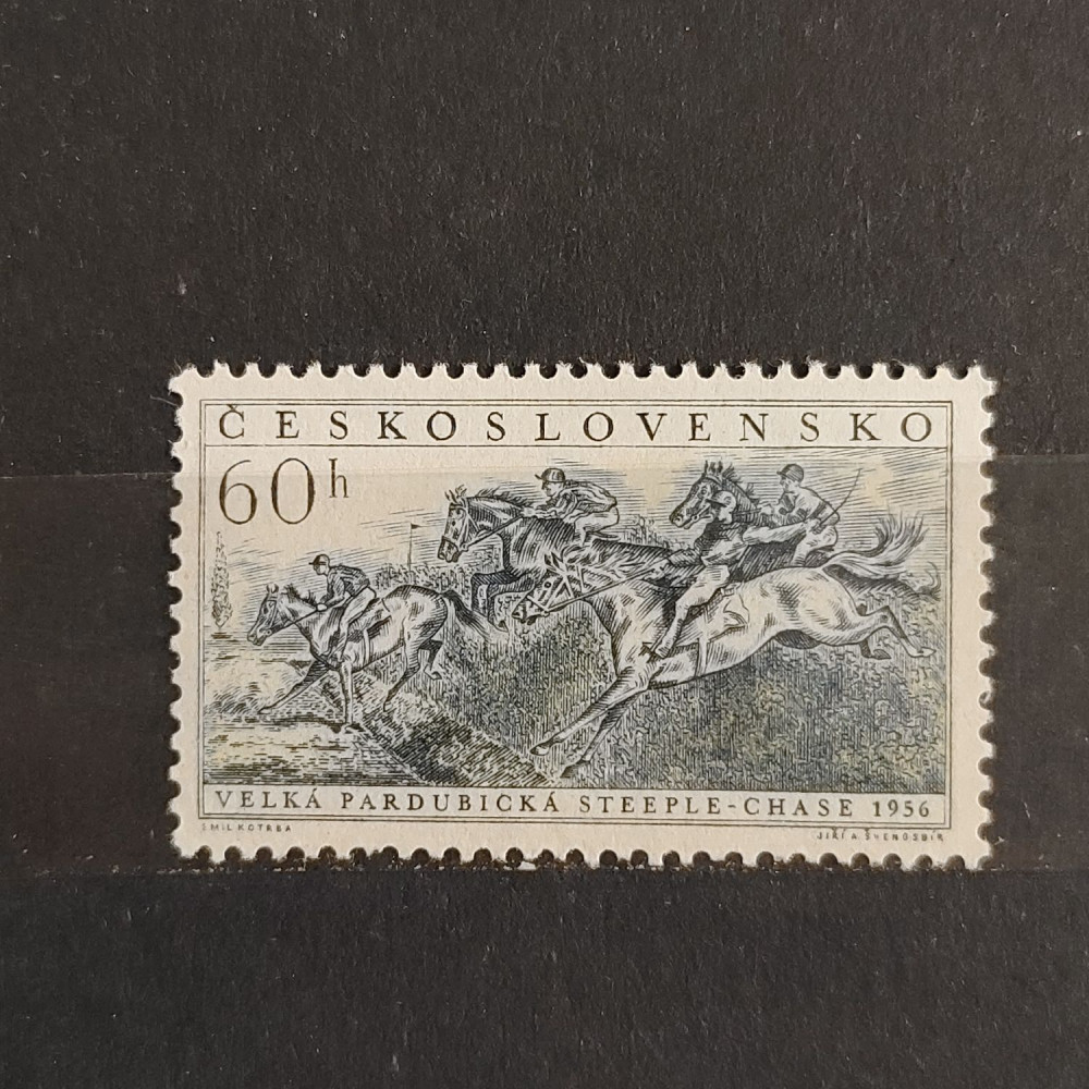 Selo Tchecoslováquia, 60h, Mi.981, MNH** 