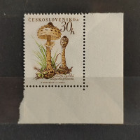 Stamp Czechoslovakia, 30h, Mi.1101, MNH** 