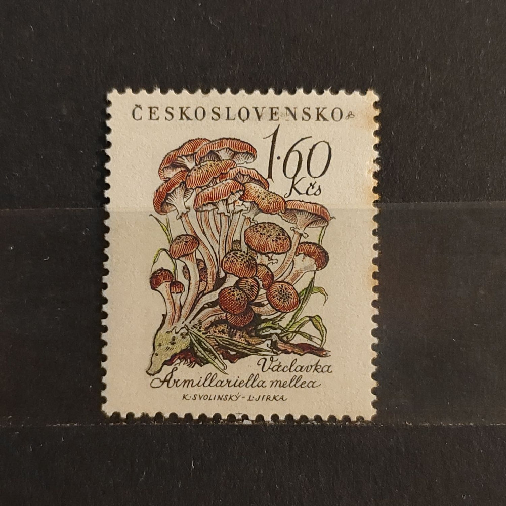 Briefmarke Tschechoslowakie, 1,60Kčs, Mi.1105* 