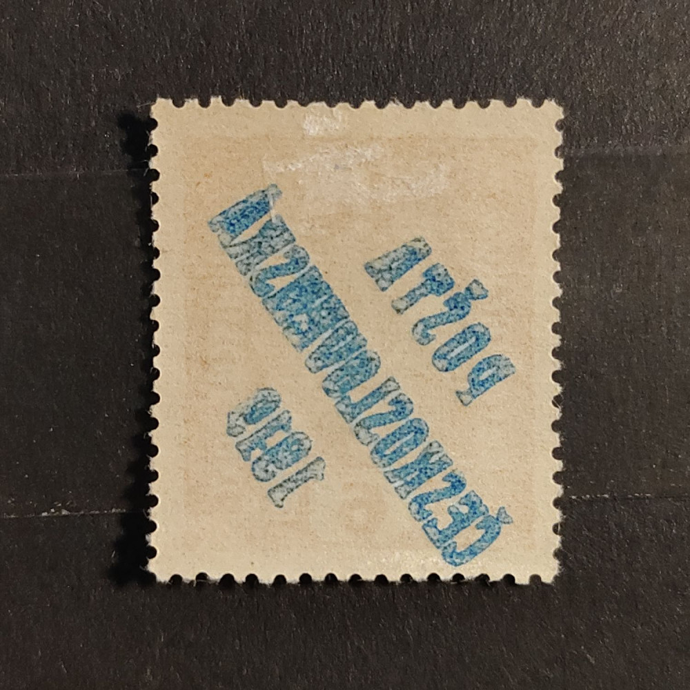 Selo Tchecoslováquia PČ 1919 , 6h, Mi.42, MH* 