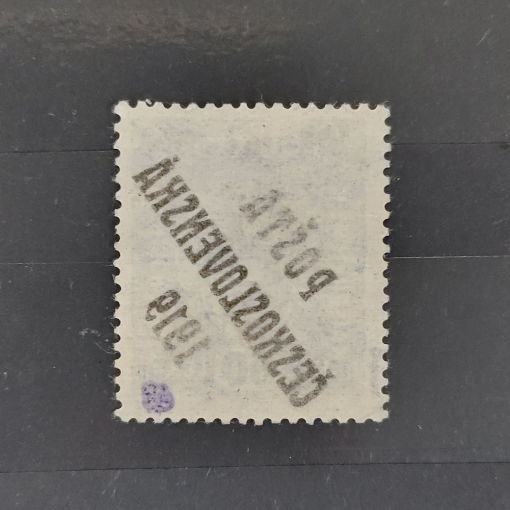 Selo Tchecoslováquia PČ 1919 , 60h, Mi.47, MH* 