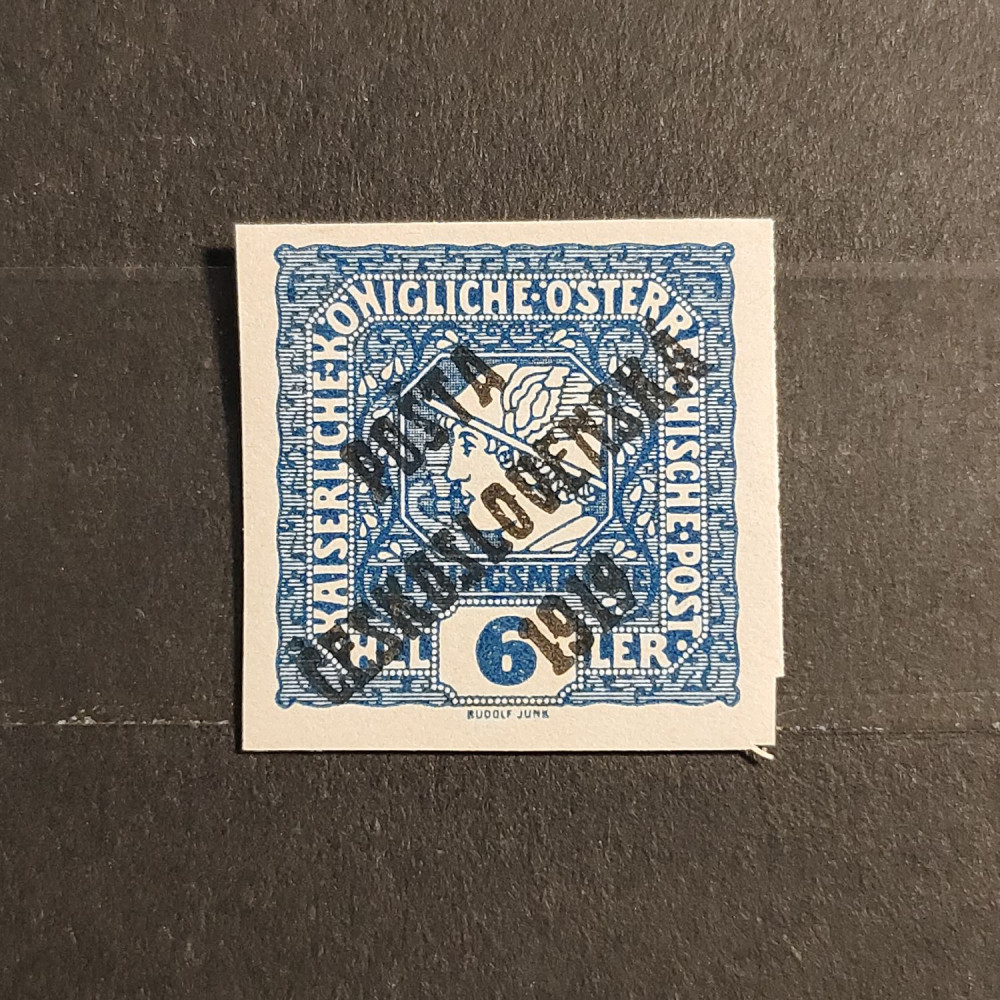 Selo Tchecoslováquia PČ 1919 , 6h, Mi.101, MNH** 