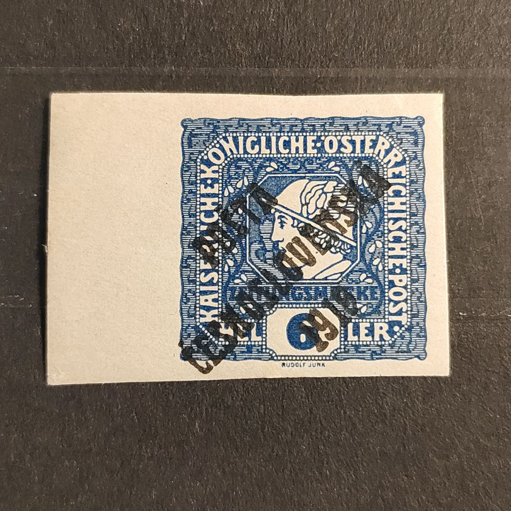 Selo Tchecoslováquia PČ 1919 , 6h, Mi.101, MH* 