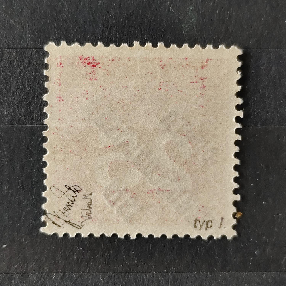 Selo Tchecoslováquia PČ 1919 , 25h, Mi.78, MNH**  1