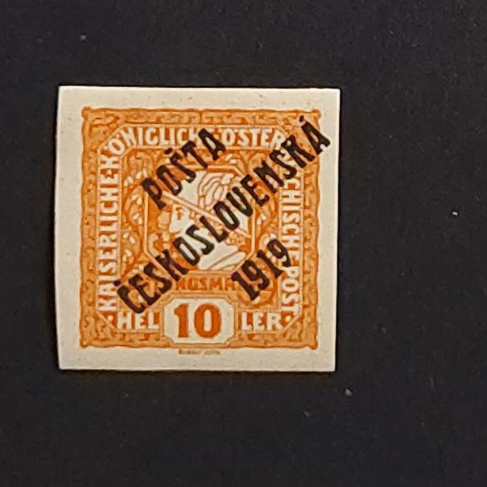 Selo Tchecoslováquia PČ 1919 , 10h, Mi.102, MH* 
