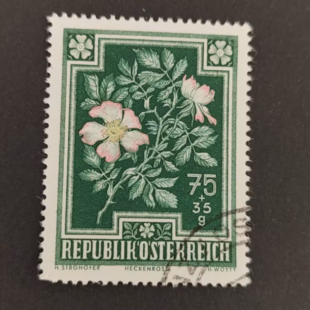 Selo Áustria , 75 g, Mi.874, usado# 