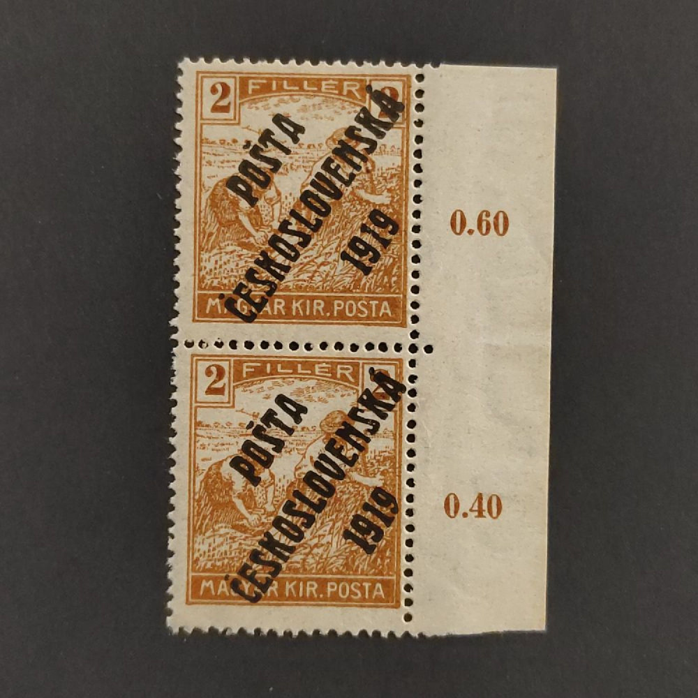 Zweierblock Tschechoslowakie PČ 1919 , 2f, Mi.120** 