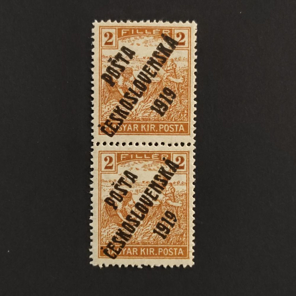 Pareja Checoslovaquia PČ 1919 , 2f, Mi.120, MNH** 