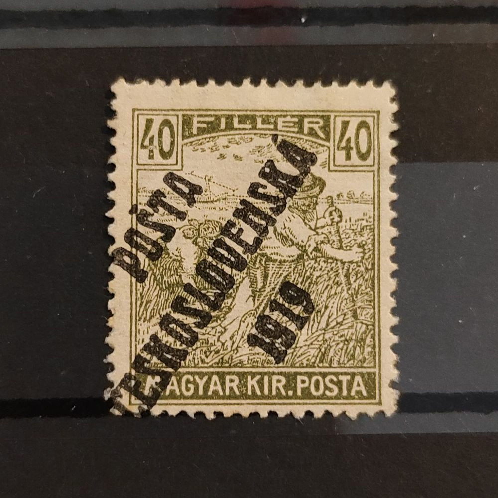 Sello Checoslovaquia PČ 1919 , 40f, Mi.129, (*)(*) 