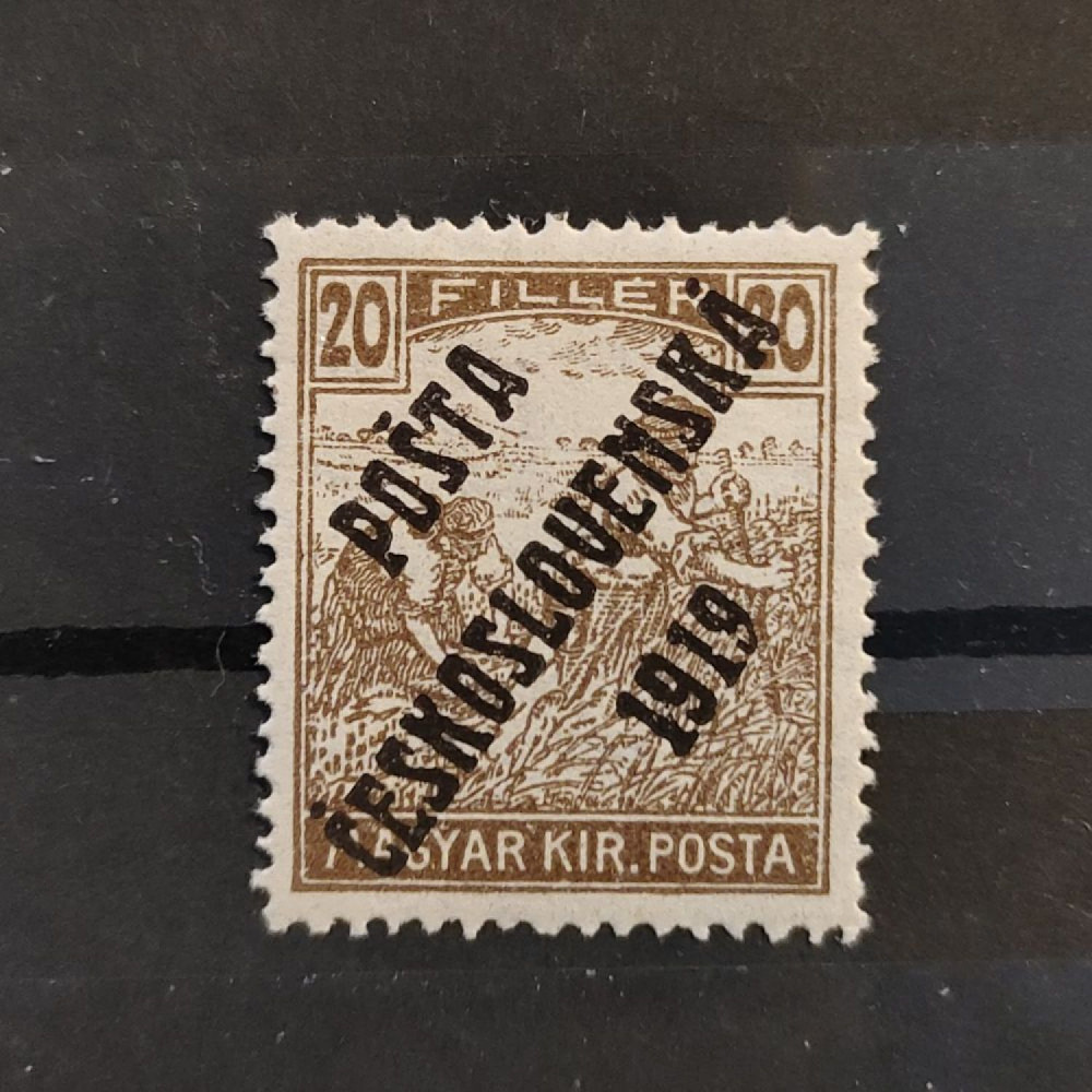 Selo Tchecoslováquia PČ 1919 , 20f, Mi.126, MH* 