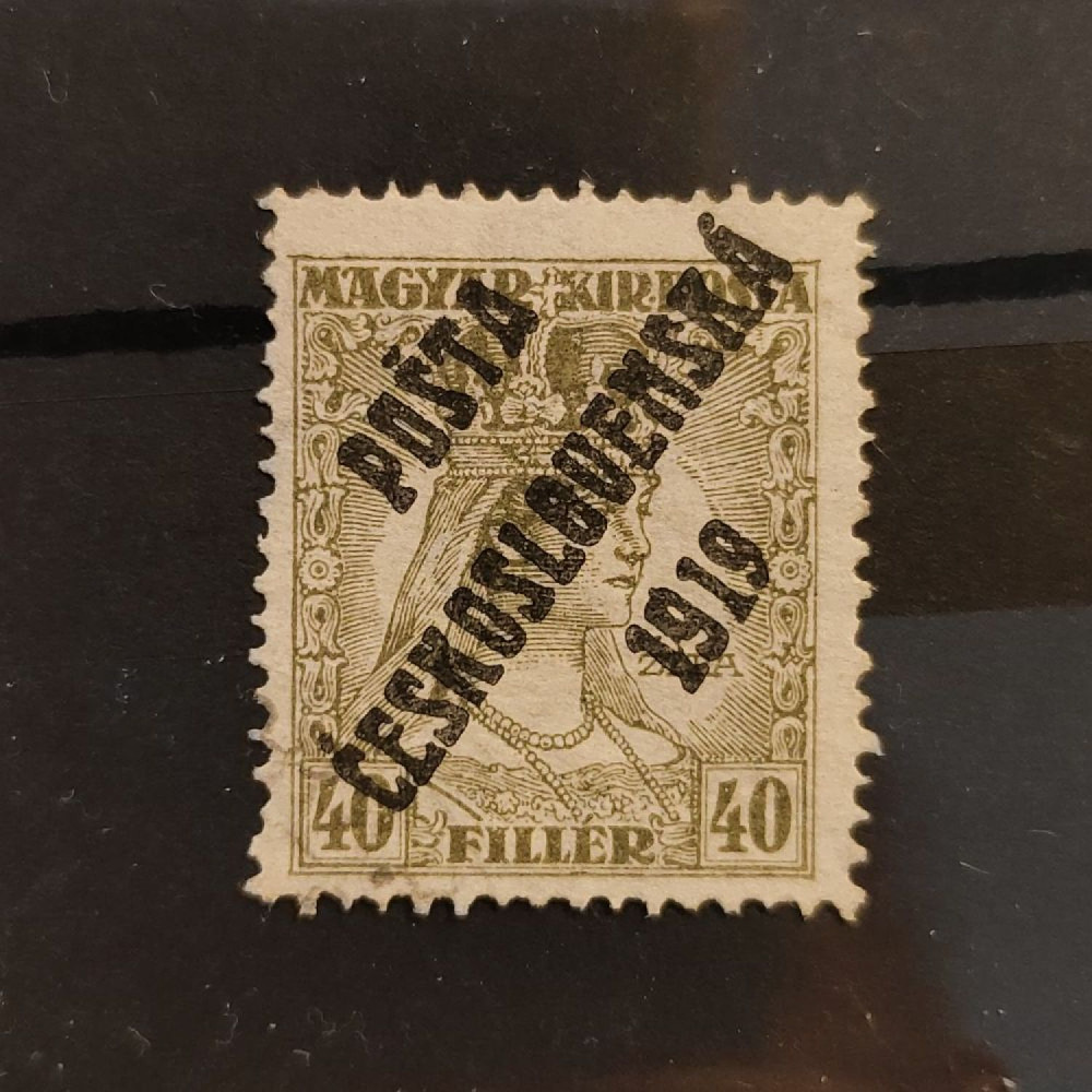 Selo Tchecoslováquia PČ 1919 , 40f, Mi.141, (*)(*) 