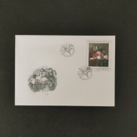 FDC Tschechische Republik, 25 Kč, Mi.494** 