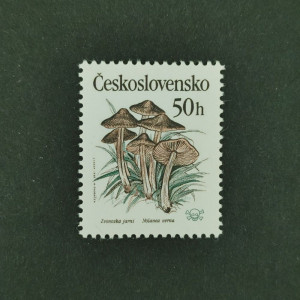 Jedovaté houby 1989