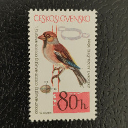 Stamp Czechoslovakia, 80h, Mi.1497, MNH** 