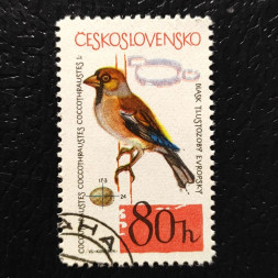 Stamp Czechoslovakia, 80h, Mi.1497, used# 