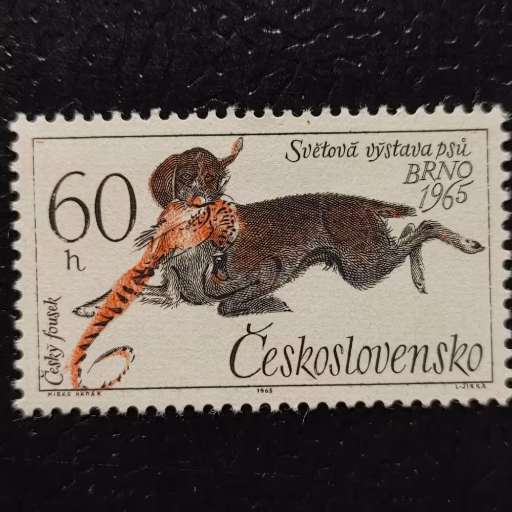 Selo Tchecoslováquia, 60h, Mi.1544, MNH** 