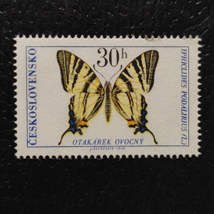 1966 - Motýli