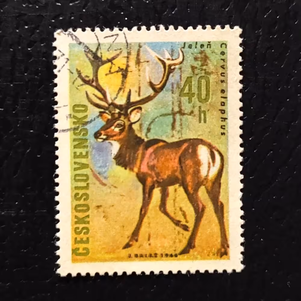 Stamp Czechoslovakia, 40h, Mi.1662, MNH** 