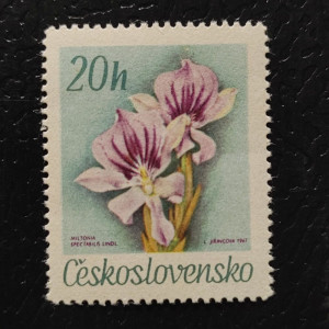 Květiny botanických zahrad