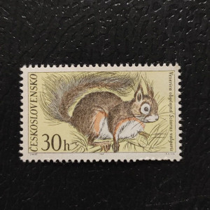 Fauna Tatranského národního parku