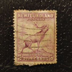 Známka Newfoundland, Mi.176A (SG 213)#, ½P Známka Newfoundland, Mi.176A (SG 213)#, ½P