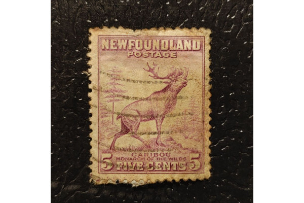 Známka Newfoundland, Mi.176A (SG 213)#, ½P