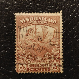 Známka Newfoundland, Mi.98 (SG 132)#, 1£