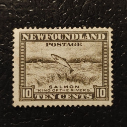 Známka Newfoundland, Mi.178 (SG 215)#, ½P Známka Newfoundland, Mi.178 (SG 215)#, ½P