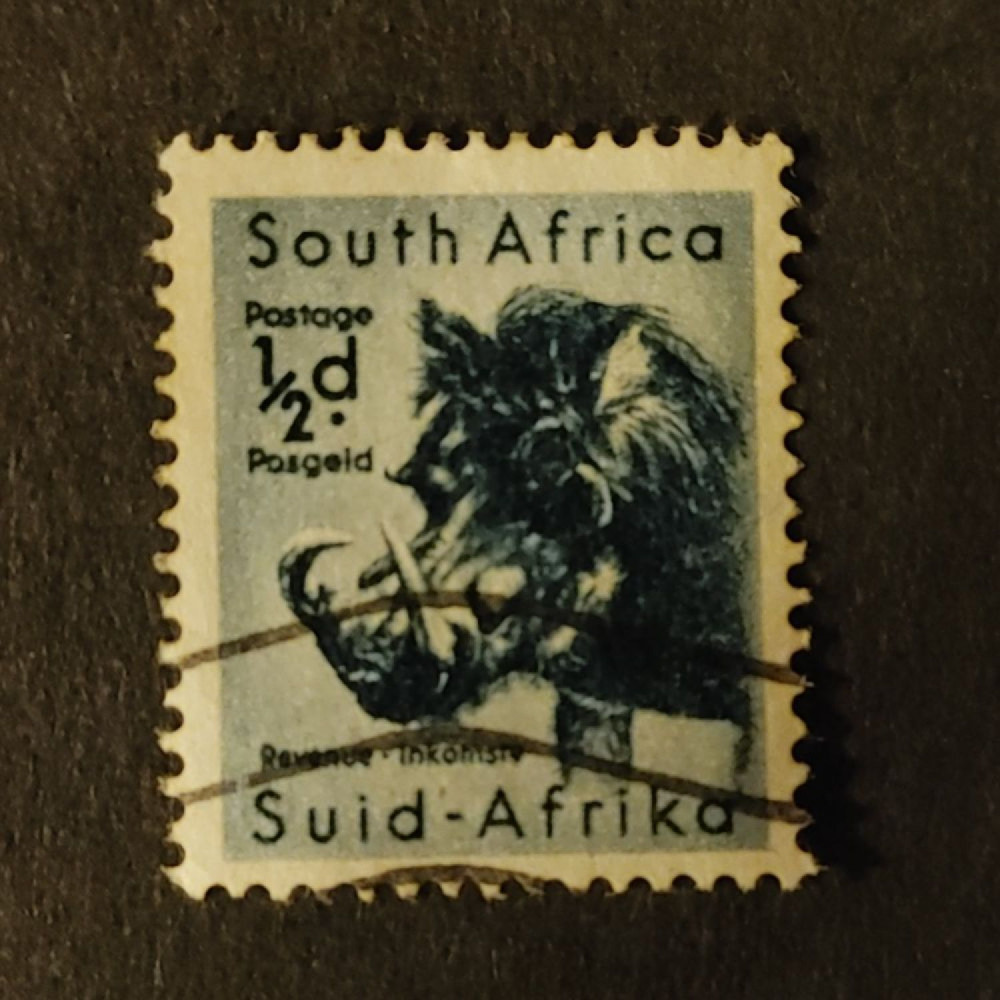 Známka Jižní afrika, SG151 (Mi. 239)#, 1/2 d
