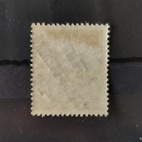 Známka ČSR PČ 1919 , 20f, Pof.107*, II. typ přetisku 
