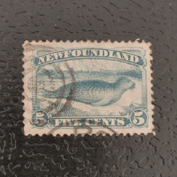 Známka Newfoundland, Mi.34a (SG 48)#, ½P