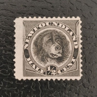 Známka Newfoundland, Mi.41 (SG 59)(*), 6P