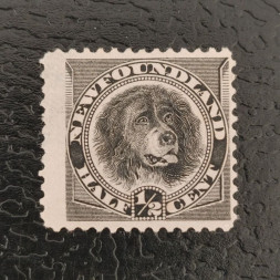 Sello Terranova, Mi.41 (SG 59), (*), 6P