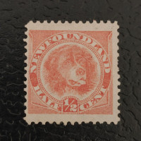 Známka Newfoundland, Mi.35a (SG 49)(*)