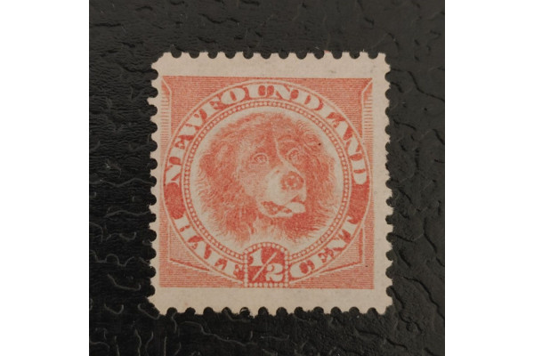 Známka Newfoundland, Mi.35a (SG 49)(*)